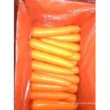 2015 Новый урожай свежей китайской моркови (сорт S)